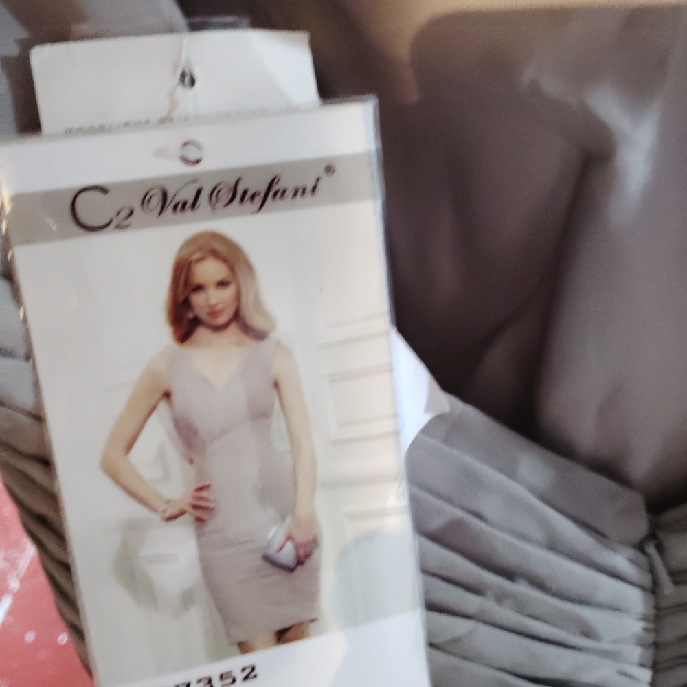 Val Stefani Gray Dress
